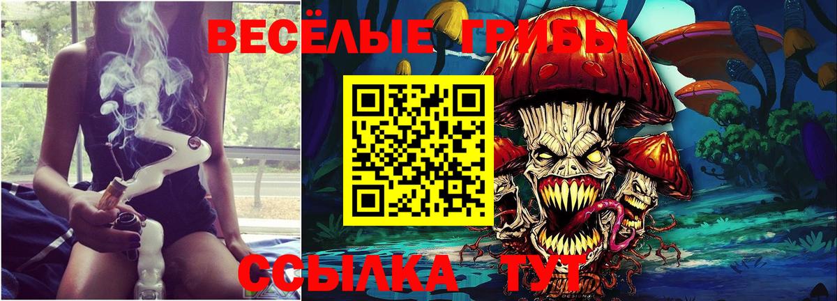 Галлюциногенные грибы Psilocybine cubensis  Вход с VPN  Киров 